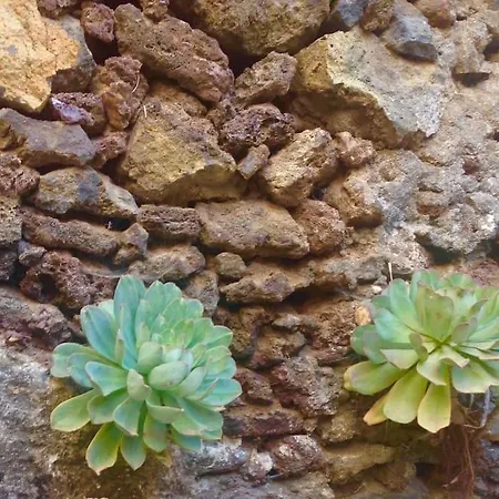 Casa Poesia De El Hierro, Situada En El Centro De El Pinar El Pinar (El Hierro)