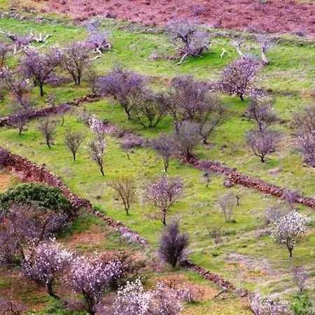 Casa Poesia De El Hierro, Situada En El Centro De El Pinar El Pinar (El Hierro)